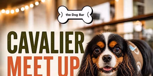 Cavalier Meet Up at Dog Bar Sarasota