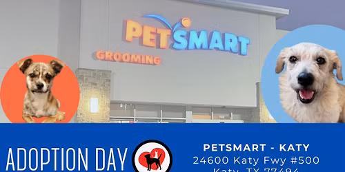 Adoption Day at PetSmart - Katy