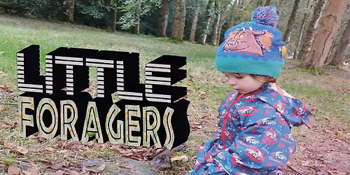 LITTLE FORAGERS - KIDS ROCK POOLING - BRIGHTON - HALM TERM