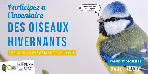 Inventaire participatif des oiseaux hivernants