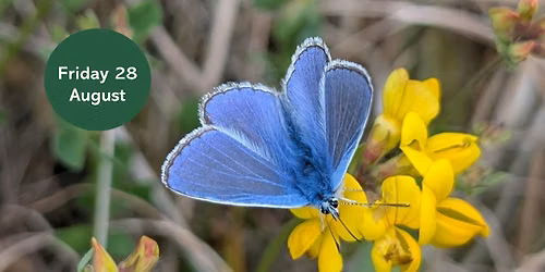 Ouse Burn Way: Butterfly Walk