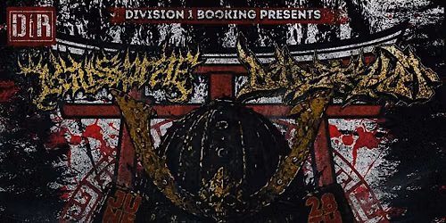 Division 1 presents Bodyshot and more at DBZ