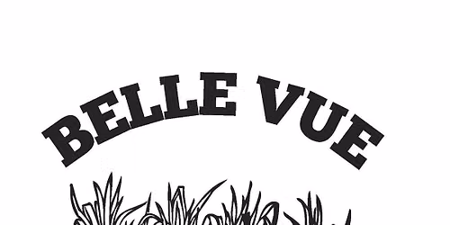 Belle Vue Annual Picnic