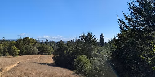 Monthly Trash Clean Up