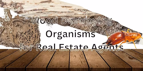 Wood Destroying Organisms