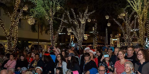 Christmas Tree Lighting