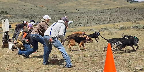 2026 Helena Field Trial