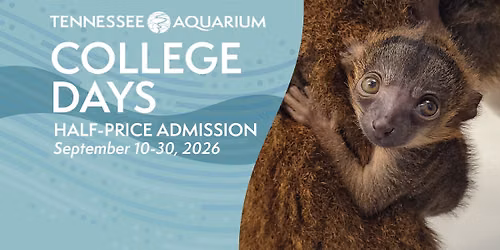 College Days \u2013 For students, faculty and staff