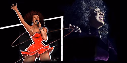 TINA LIVE - The Tina Turner Experience