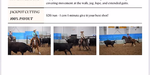 Cottonwood County Fairs Cowhorse Show 