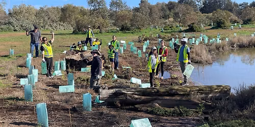 \ud83c\udf32National Tree Day Planting! - Magazine Creek Wetlands \ud83c\udf31