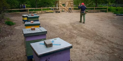 Parking The Hives with The Chats