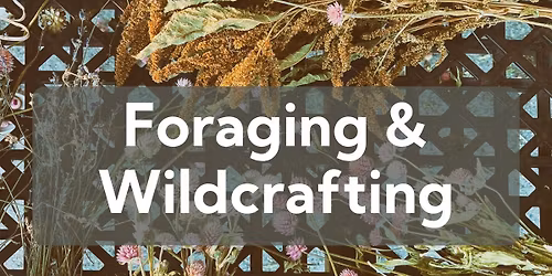 Foraging and Feasting at Plainsong Farm