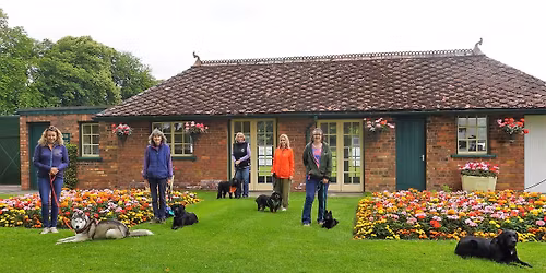 Talking Dogs Scentwork Scent 4