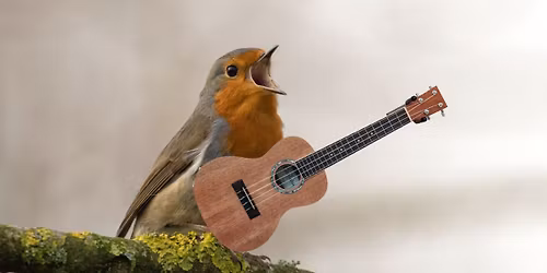 Tower of Song - Birdy Ballads