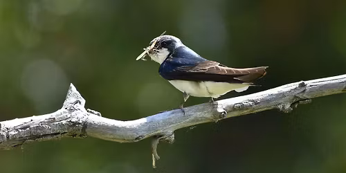 FBC Seattle: Discovery Park