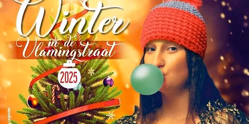 Winter in de Vlamingstraat 2025