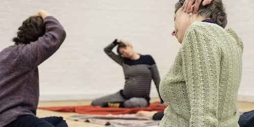 Feldenkrais Professional Training Programme - Bath