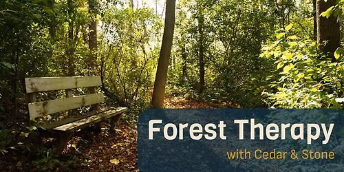 Forest Therapy with Cedar & Stone