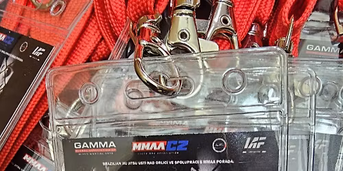 MMAA Arena Cup - \u00dast\u00ed nad Orlic\u00ed 