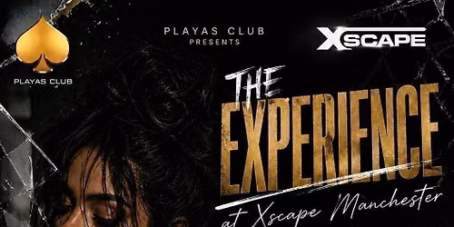 THE EXPERIENCE - Afrobeats\/HipHop\/Amapiano\/RnB\/DanceHall