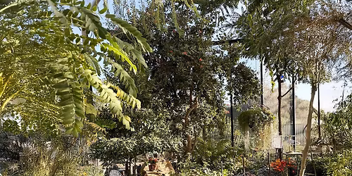 Free Friday's Nature Explorers' Presentation