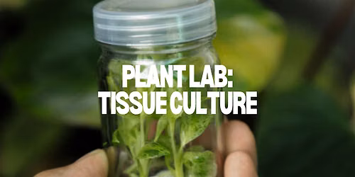 Plant Lab: A Tissue Culture Workshop