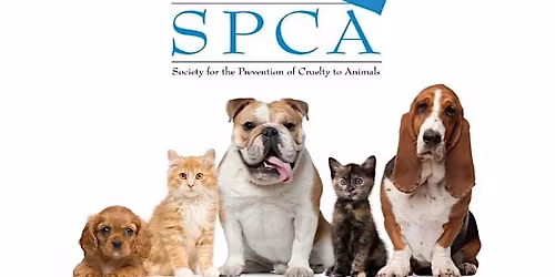 Placer SPCA  Volunteer Orientation (Adult)