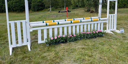 TERR\u00c4NG PAY AND JUMP - MED RIVNINGSBARA HINDER