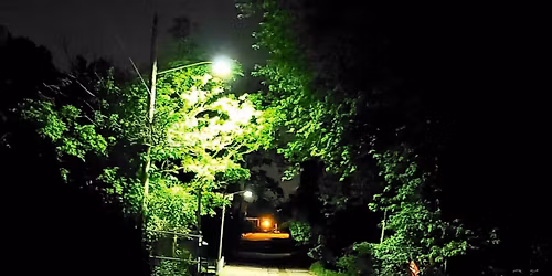 Guided Shamanic Journey