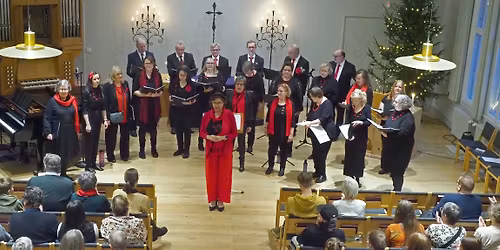 Villimarjat-kuoron joulukonsertti Helsingin Talvipuutarhassa