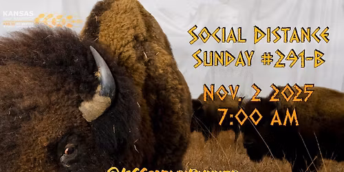 Social Distance Sunday #291-B
