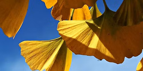 Co-Regulate Saturday