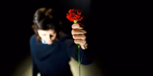 Gon\u00e7alo Amorim \/ TEP \u2937 Jos\u00e9 Afonso, ao vivo nos Coliseus, 1983