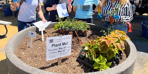 Downtown Planting Days: Thursday May 21 (3 pm - 7 pm) & Friday May 22 (11 am - 5 pm)