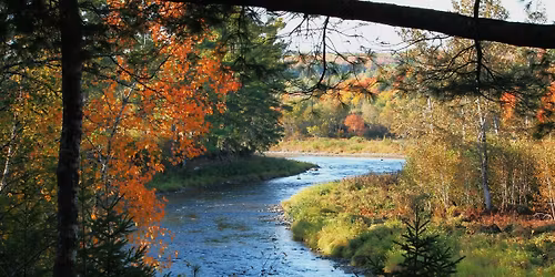 NWAI Annual General Meeting