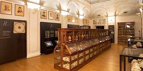 Visita al Museo di Antropologia Criminale \u201cCesare Lombroso\u201d