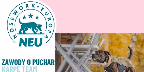 Zawody Nosework Europa o Puchar Karpeteam w Zielonej G\u00f3rze