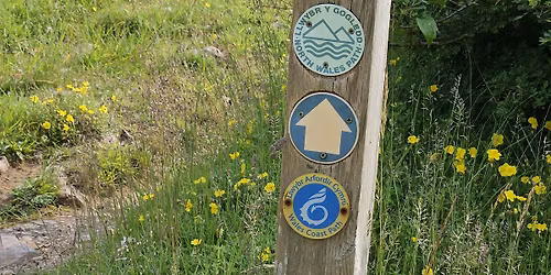 Winter walk at Rhiwledyn Nature Reserve