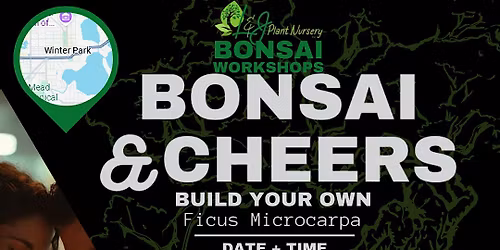 Bonsai & Cheers -Forward\/Slash - L&J Nursery - Ficus Microcarpa Bonsai