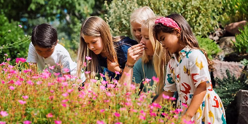 Spiselige planter \u2013 familierundvisning i Botanisk Have