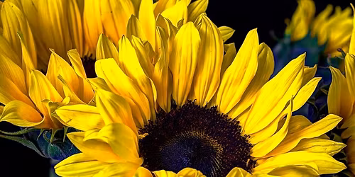 Christchurch Support Group