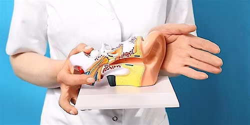 Diatec Cerumen Removal Workshop - Auckland