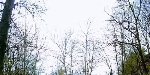 NEW RATS DAY!!! Saturday Run, Creek Road!