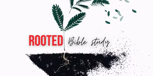 "ROOTED" a WEDNESDAY NIGHT Bible Study with Pastor Charlie
