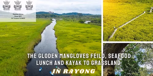 Floating grassland by kayak