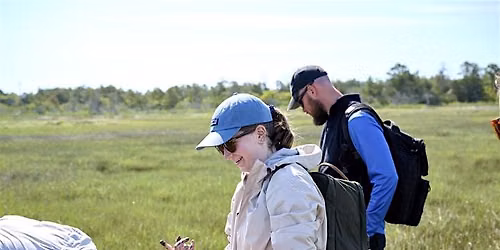 Coastal Plant Walk & Forage