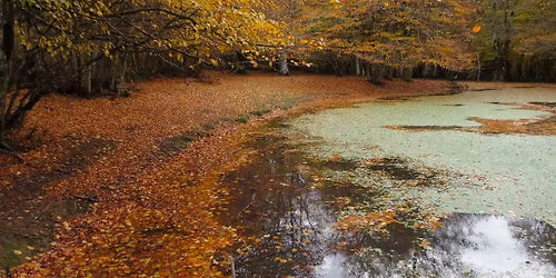 AUTUNNO SUI NEBRODI TRA I LAGHI