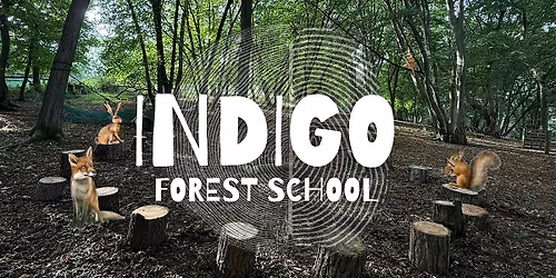 Forest School Taster Day - Harvest Festival HALF TERM