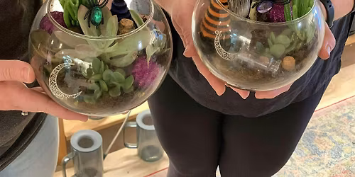 Hocus Pocus Terrarium Making Class